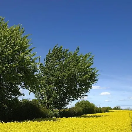 Osterholz On The Jepsen Farm بيت للعطل *